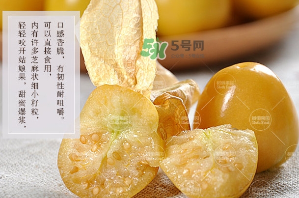 菇娘是寒性還是熱性？菇娘是哪里產(chǎn)的