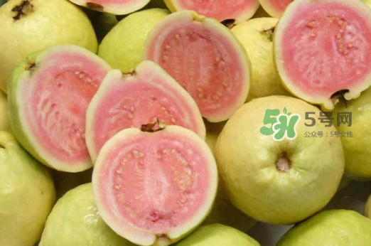 芭樂皮能吃嗎？芭樂皮可以吃嗎