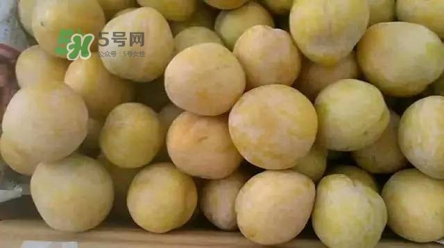 奈李是什么水果？奈李為什么會(huì)空心