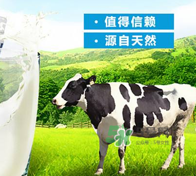 牛初乳是奶粉嗎？牛初乳跟奶粉的區(qū)別