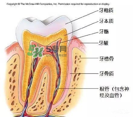 regenerate牙膏多少錢？regenerate牙膏專柜價(jià)格