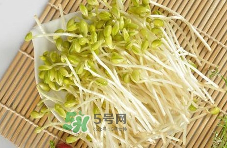 豆芽有根好還是無根好？無根豆芽與有根豆芽區(qū)別