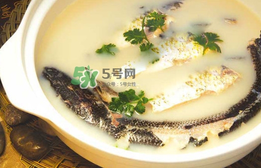 黃蜂魚(yú)怎么煮好吃？黃蜂魚(yú)燉湯孕婦可以喝嗎