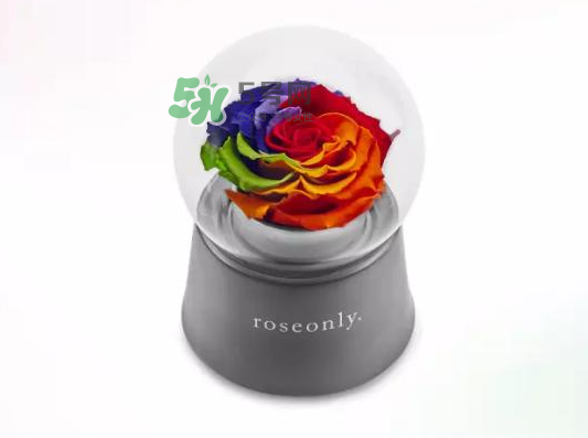 roseonly音樂盒多少錢？roseonly音樂盒歌曲名