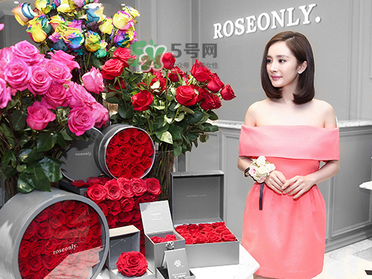 roseonly音樂盒多少錢？roseonly音樂盒歌曲名