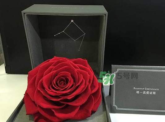 roseonly永生花可以保存多久？roseonly永生花保養(yǎng)