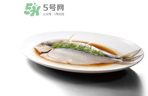 鰣魚還有嗎？長江鰣魚滅絕了嗎