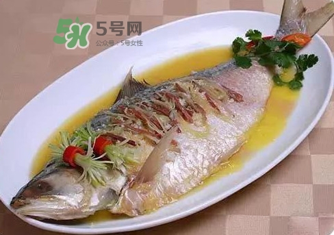 鰣魚怎么讀？鰣魚是什么魚