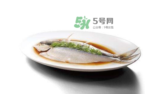 鰣魚刺多嗎？鰣魚可以養(yǎng)殖嗎