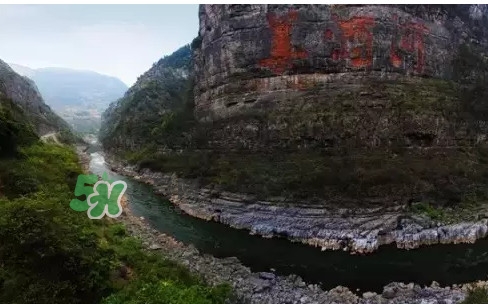 茅臺酒為什么那么貴？茅臺酒為什么這么貴