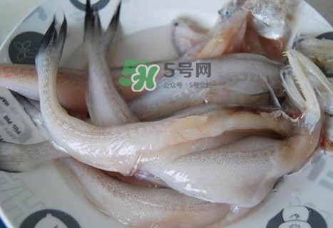 龍頭魚怎么殺？龍頭魚怎么處理？