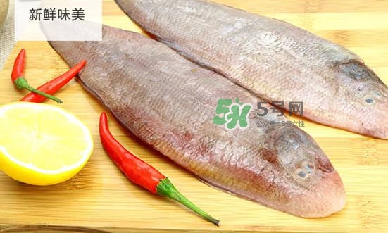 龍利魚(yú)多少錢(qián)一斤？龍利魚(yú)是什么魚(yú)