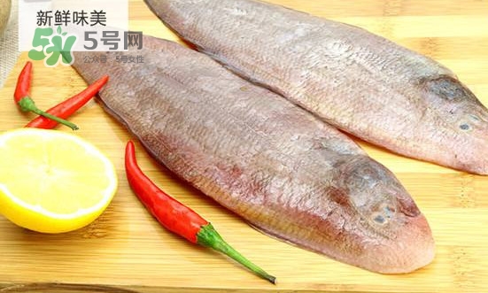 龍利魚(yú)怎么挑選？龍利魚(yú)與越南巴沙魚(yú)的區(qū)別