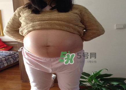 懷女孩肚子上會長毛嗎？懷女孩肚子特征圖片