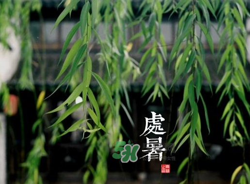 2017處暑還熱嗎？2017處暑后天氣還熱嗎？