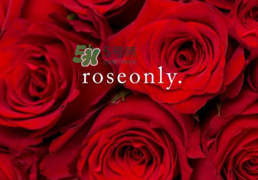 2017七夕禮盒roseonly多少錢？roseonly巨型玫瑰禮盒多少錢？