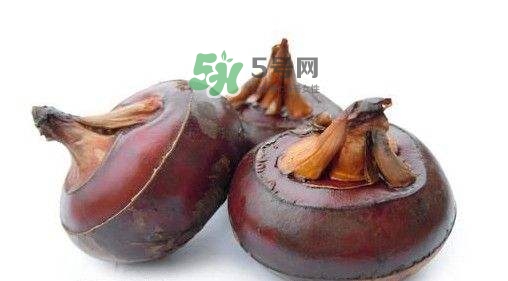 野荸薺怎么吃？野荸薺的食用功效