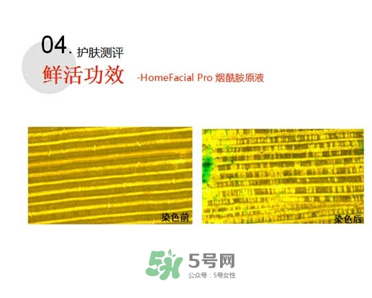 homefacialpro煙酰胺原液怎么樣？hfp煙酰胺原液好用嗎