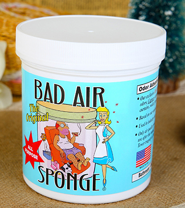 Bad Air Sponge有用嗎？Bad Air Sponge效果如何？