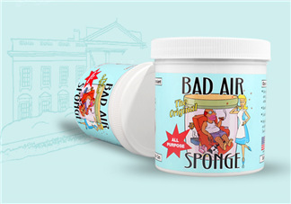 Bad Air Sponge有用嗎？Bad Air Sponge效果如何？