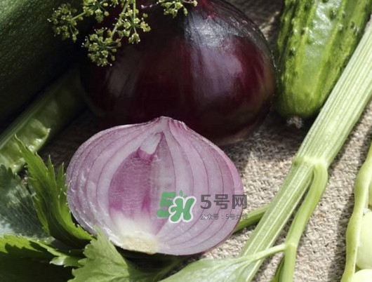 皮芽子發(fā)芽了可以吃嗎？新疆人為什么都愛吃皮芽子