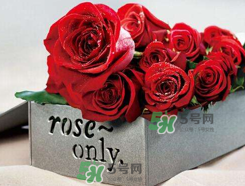 roseonly怎么看真假？roseonly真假對(duì)比