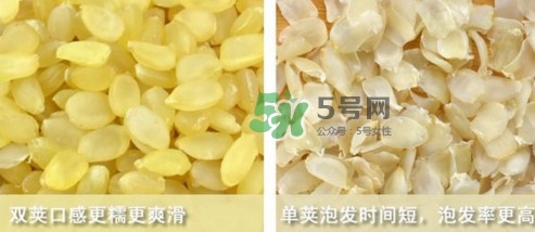 皂角米吃了有什么好處？皂角米的功效與作用