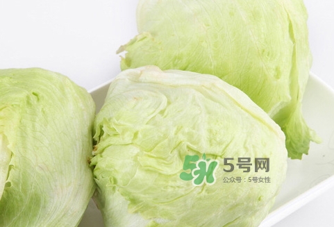 球生菜的營養(yǎng)價值_球生菜的功效與作用及食用方法