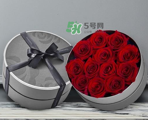 roseonly怎么讀？roseonly怎么讀在線讀？