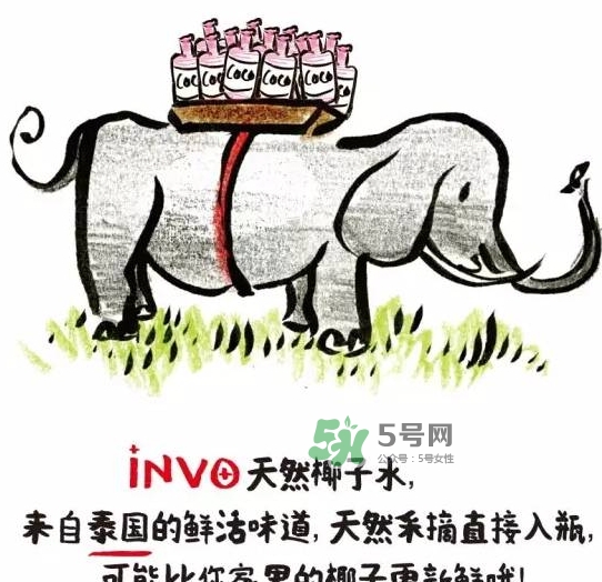 invo椰子水多少錢？invo椰子水好喝嗎？