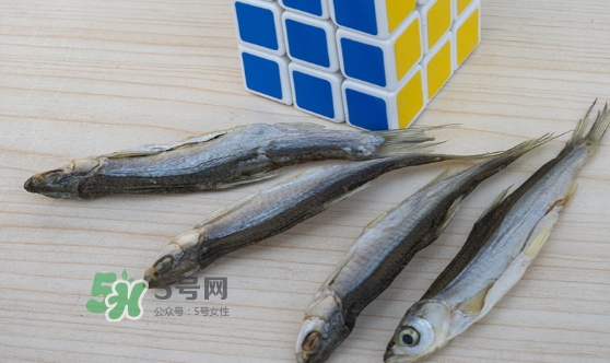 刁子魚(yú)是發(fā)物嗎？刁子魚(yú)是不是發(fā)物