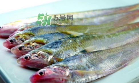 刁子魚是秋刀魚嗎？刁子魚是海魚嗎？