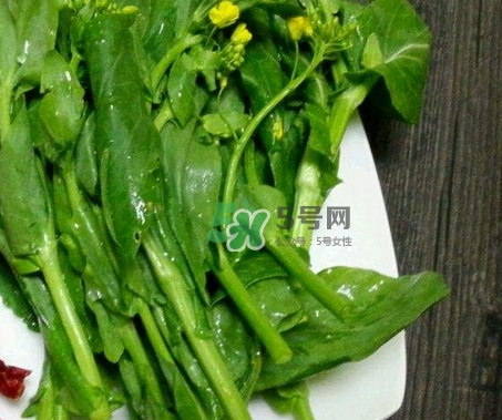 油菜可以放冰箱保存嗎_油菜能放在冰箱幾天