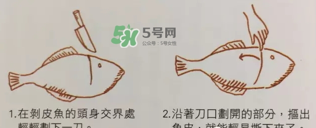 剝皮魚為什么要?jiǎng)兤?？剝皮魚的皮有毒嗎？