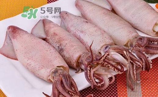 海兔子是小魷魚嗎？海兔子和魷魚的區(qū)別