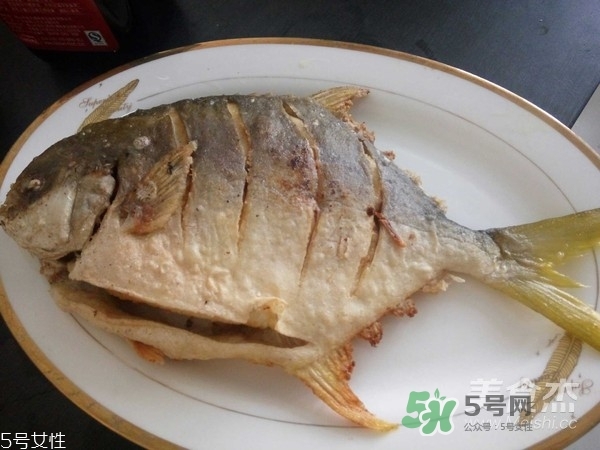 金鯧魚是海魚嗎？金鯧魚的刺多嗎？