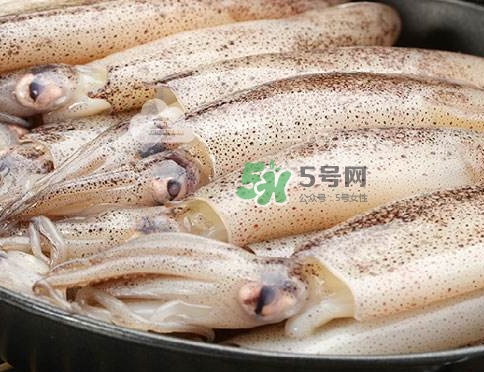 筆管魚是什么魚？筆管魚怎么吃