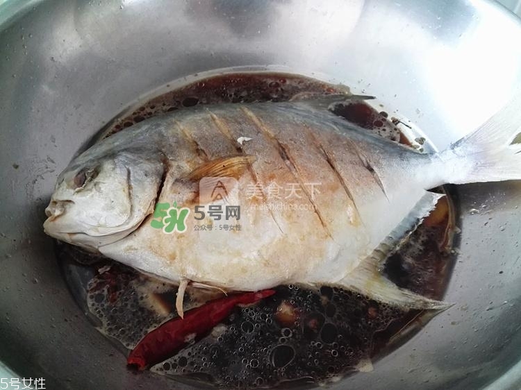 金鯧魚的營(yíng)養(yǎng)價(jià)值 金鯧魚的功效作用