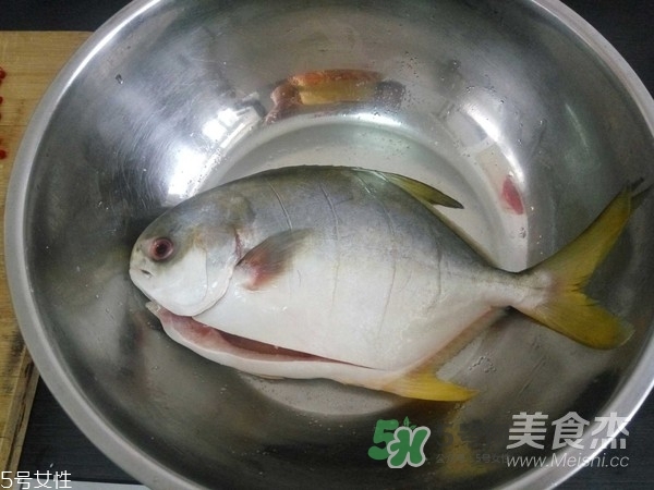 金鯧魚是海魚嗎？金鯧魚的刺多嗎？