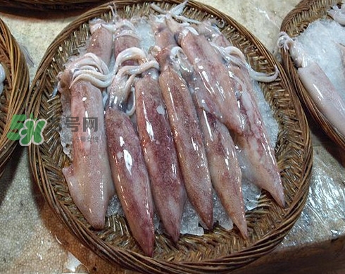 新鮮魷魚怎么保存？魷魚可以冷凍嗎