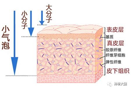 小氣泡是什么 小氣泡去黑頭有效嗎