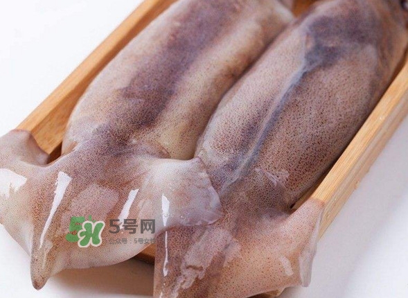 新鮮魷魚怎么保存？魷魚可以冷凍嗎