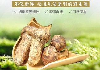 新鮮松茸怎么挑選？干松茸如何挑選