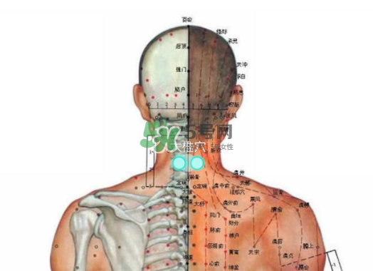 碧緹福護(hù)頸儀多少錢？碧緹福護(hù)頸儀價(jià)格