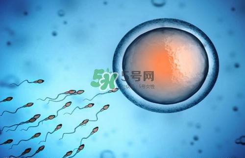 精子在女性體內(nèi)可以存活多久？男性的精子會枯竭嗎？