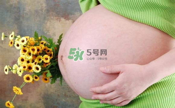 為什么孕婦的肚子有尖有圓？孕婦肚子尖圓對照圖