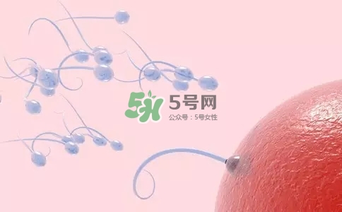 精子在女性體內(nèi)可以存活多久？男性的精子會枯竭嗎？