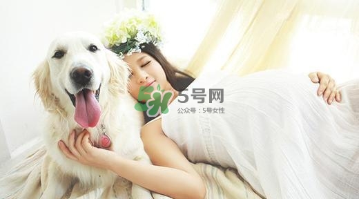 孕婦不能養(yǎng)寵物嗎？為什么孕婦不能養(yǎng)寵物？