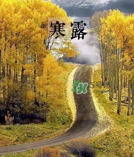 白露是寒露嗎？白露和寒露的區(qū)別