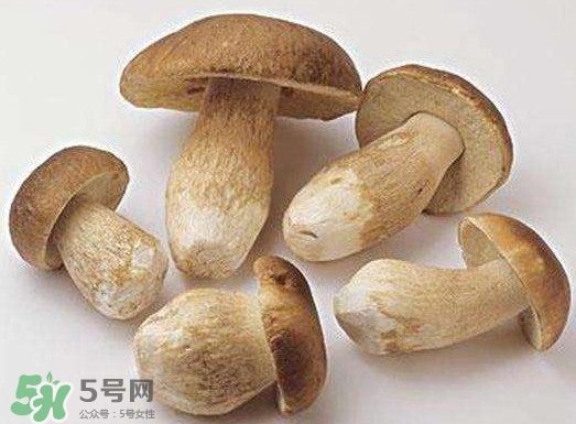 牛肝菌要泡發(fā)多久？牛肝菌怎么清洗